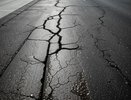 У Александра Гусева появились вопросы к воронежским ученым
