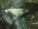 Сбитый дымящийся беспилотник сняли на видео воронежцы