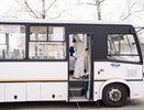 На улицах Воронежа станет еще больше автобусов