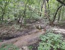 Соседство с промзоной привело к образованию помойки на участке лесополосы под Воронежем