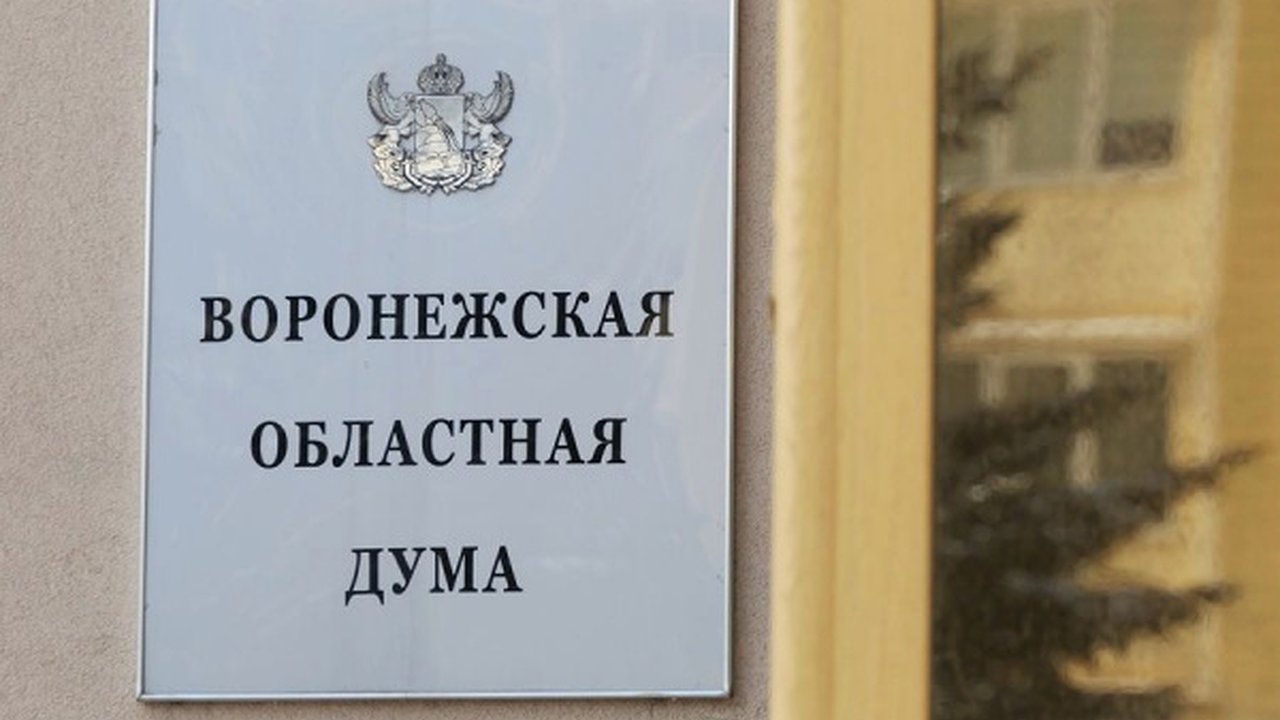 Главная картинка новости: Дело о крупном мошенничестве экс-депутата воронежской облдумы дошло до суда