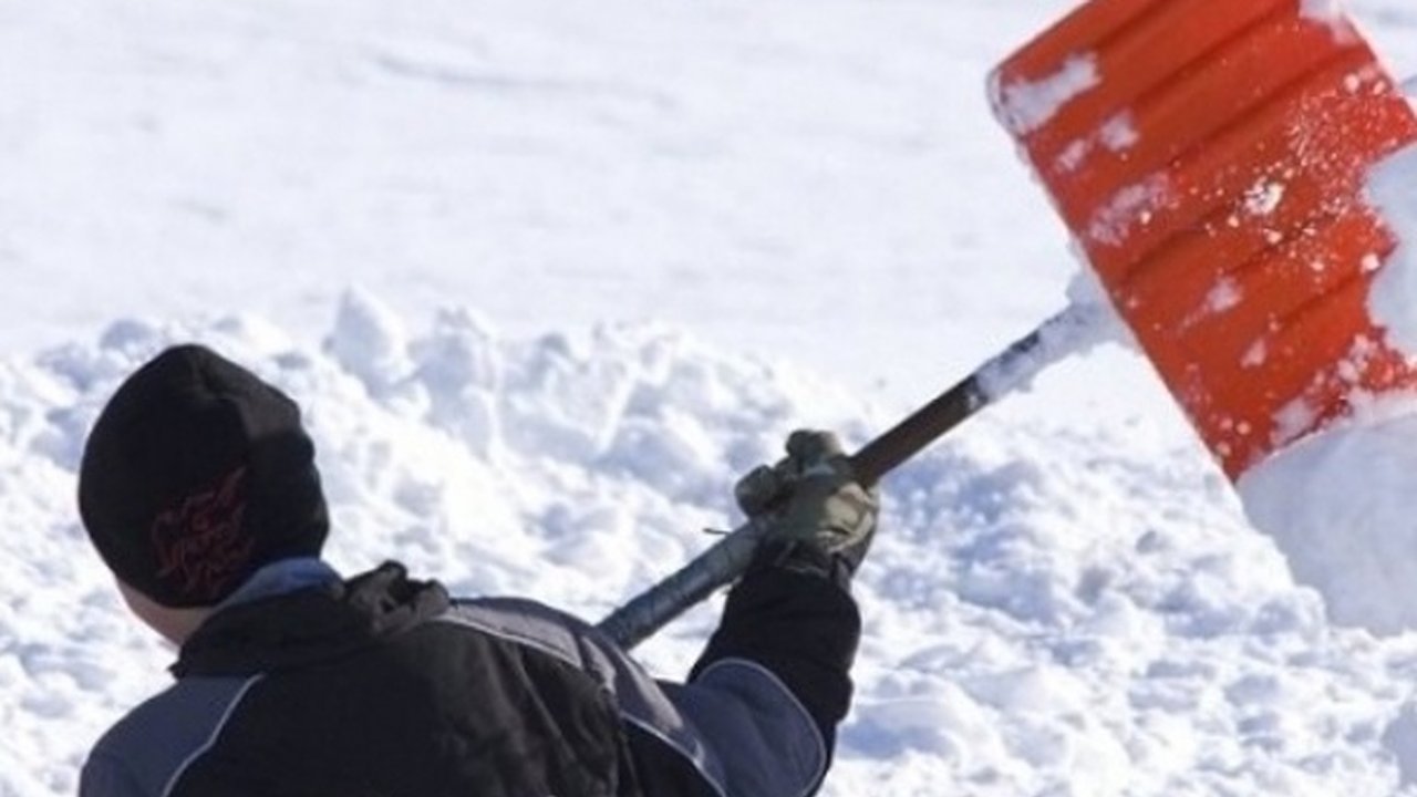 Главная картинка новости: Мэрия определила дефицит дворников в Воронеже