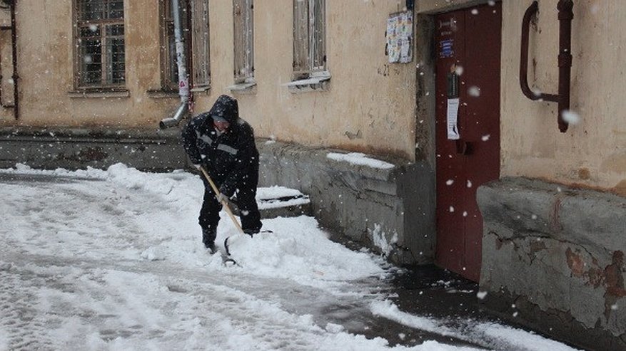 Главная картинка новости: В Воронеже трое дворников-симулянтов грозятся устроить «бунт»