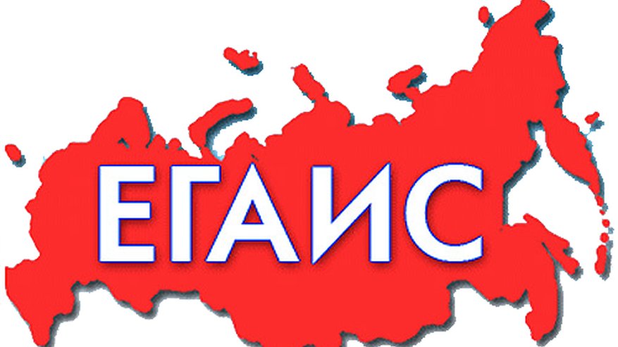 Главная картинка новости: Воронежские предприниматели, надеявшиеся на отсрочку ЕГАИС, сильно просчитались