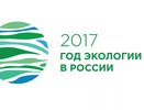 Воронежские полицейские всё реже раскрывают экологические преступления 