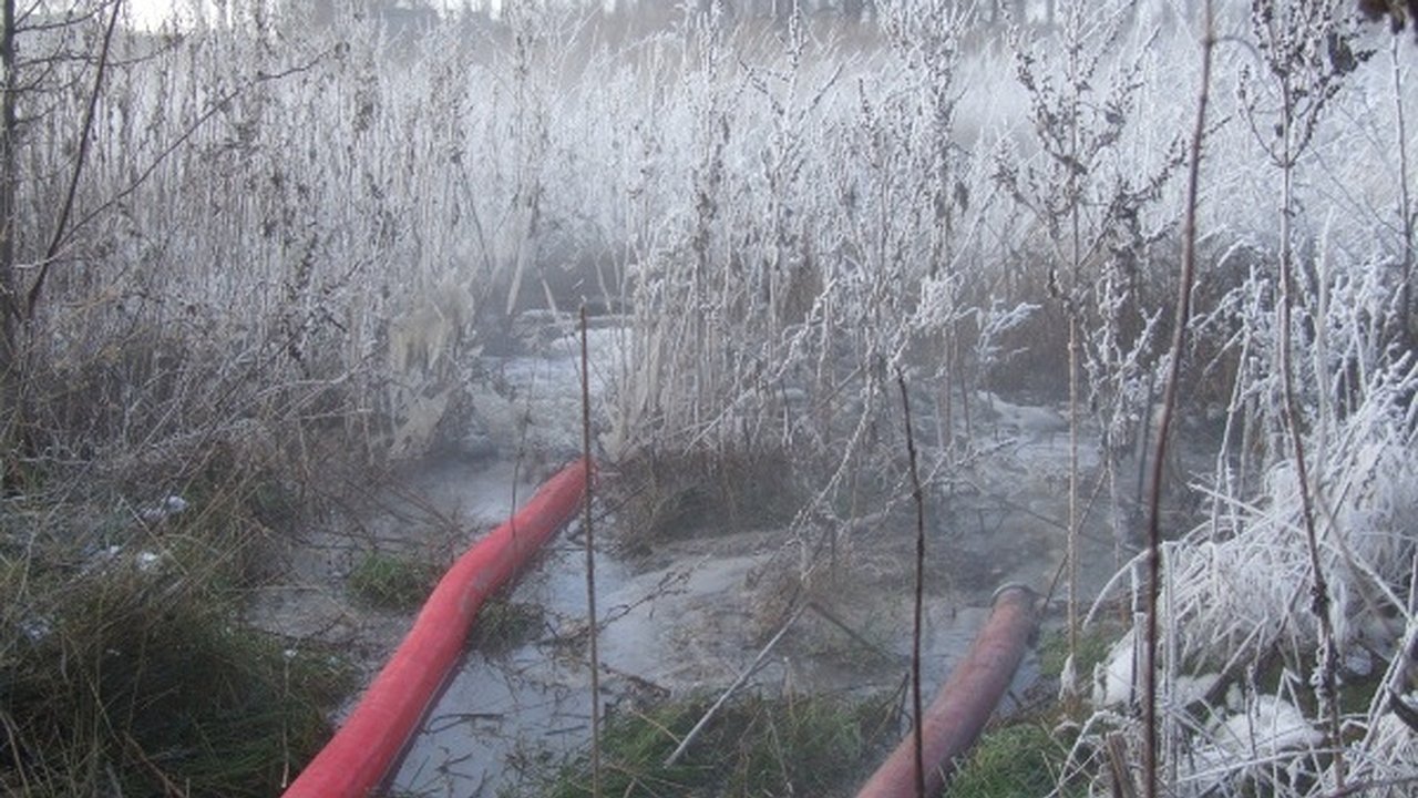 Главная картинка новости: До воронежской прокуратуры «дошло» озеро из нечистот 