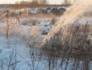 Сточное озеро «ЭкоЛайнера» прославило Воронеж на всю Россию 