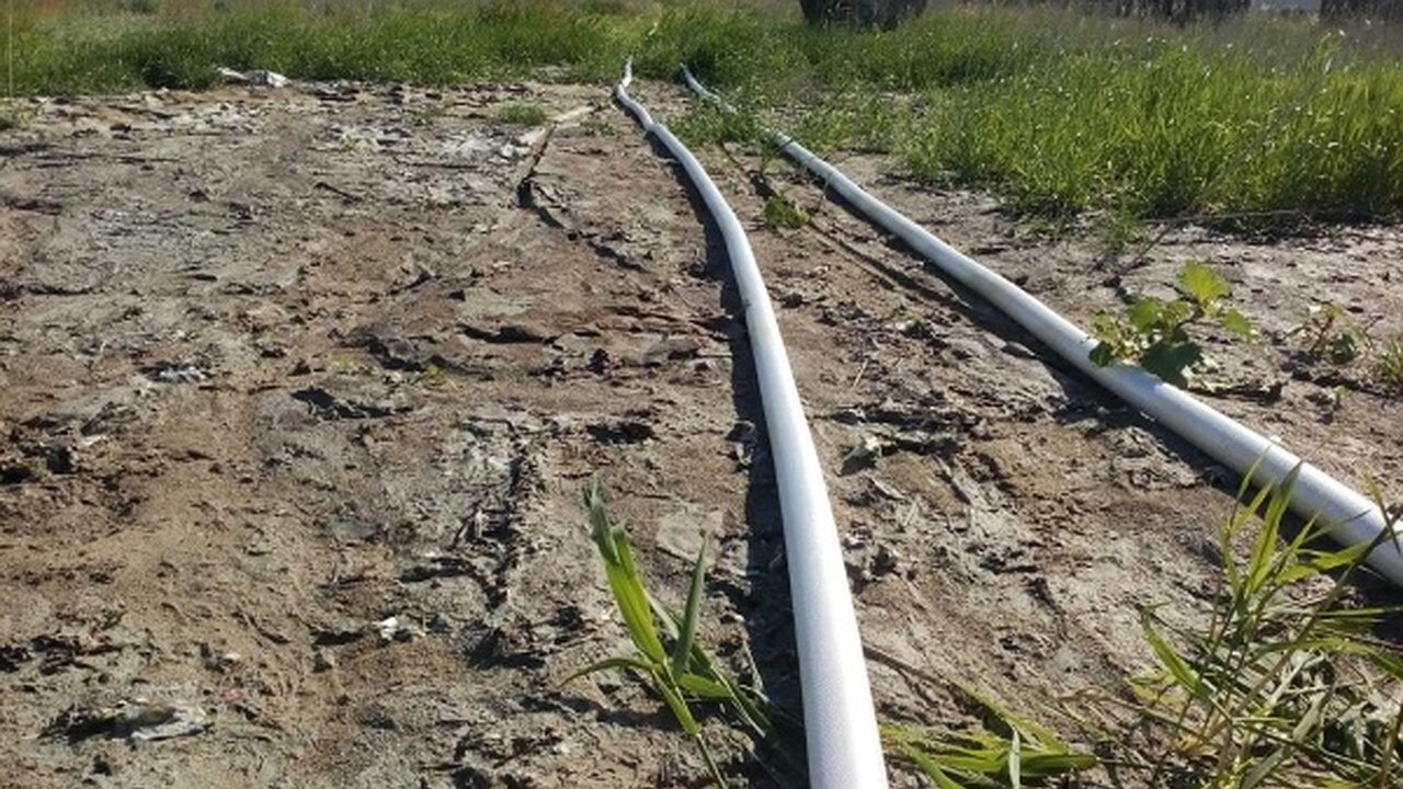 Главная картинка новости: Руководству воронежского «ЭкоЛайнера» грозит уголовное дело за неисполнение решения суда 