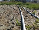 Руководству воронежского «ЭкоЛайнера» грозит уголовное дело за неисполнение решения суда 