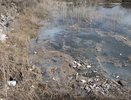 В экологическом рейтинге Воронежская область скатывает всё ниже 