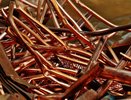Воронежские власти выставили на продажу часть завода по утилизации отходов
