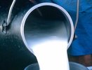 «Школьное молоко» обойдется воронежской казне в 80 млн рублей