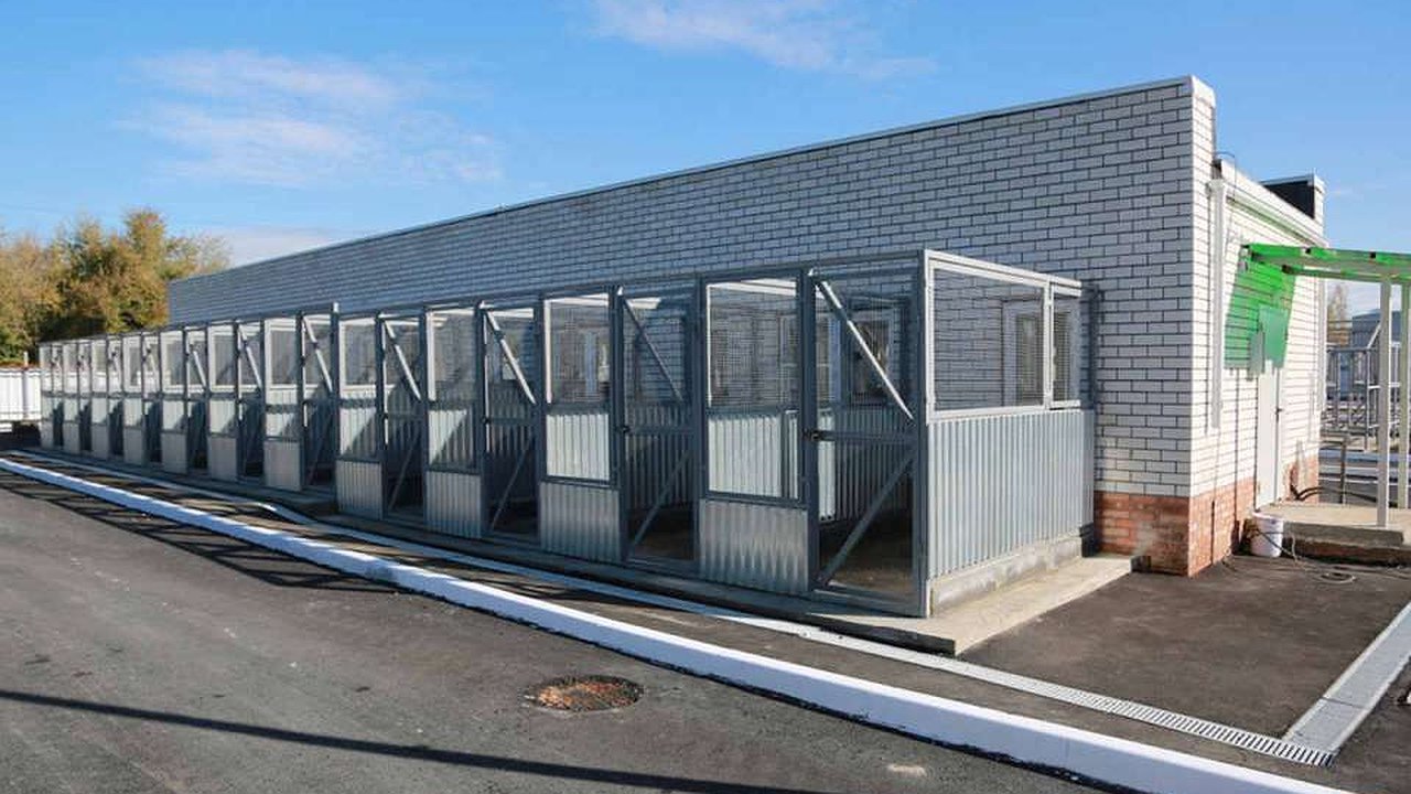 Главная картинка новости: В мэрии Воронежа объявили торги на достройку многострадального приюта для животных