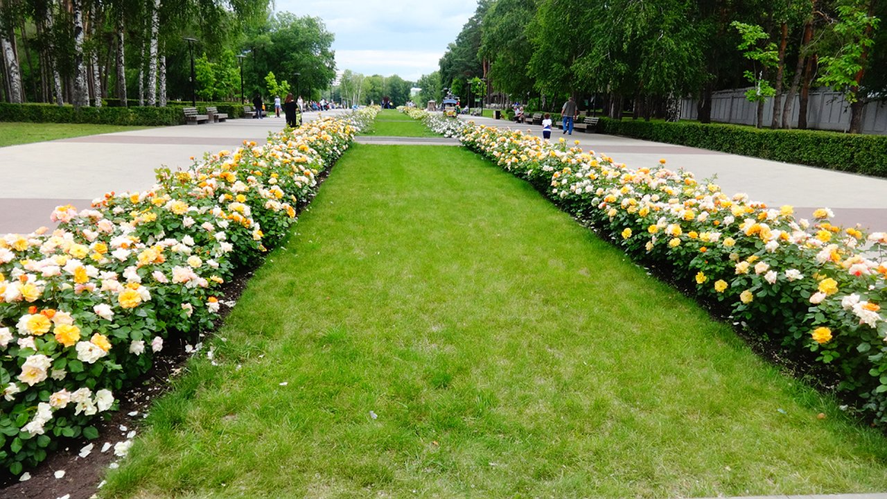 Главная картинка новости: Воронежцы сыграют в гигантский боулинг на «Правилах роста»