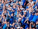 Прибыль флагмана воронежского футбола составила 127,4 млн рублей в 2022 году