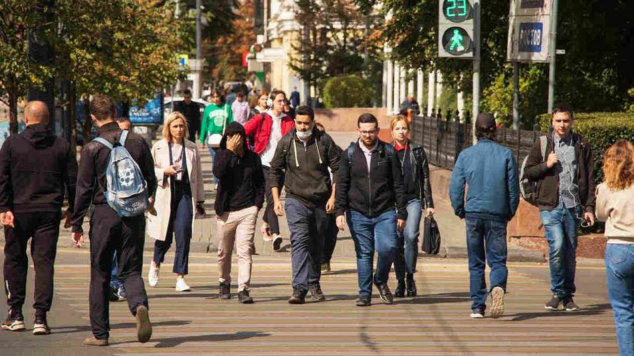 Главная картинка новости: Малый бизнес в Воронеже начал активнее обращаться к помощникам для работы с маркетплейсами