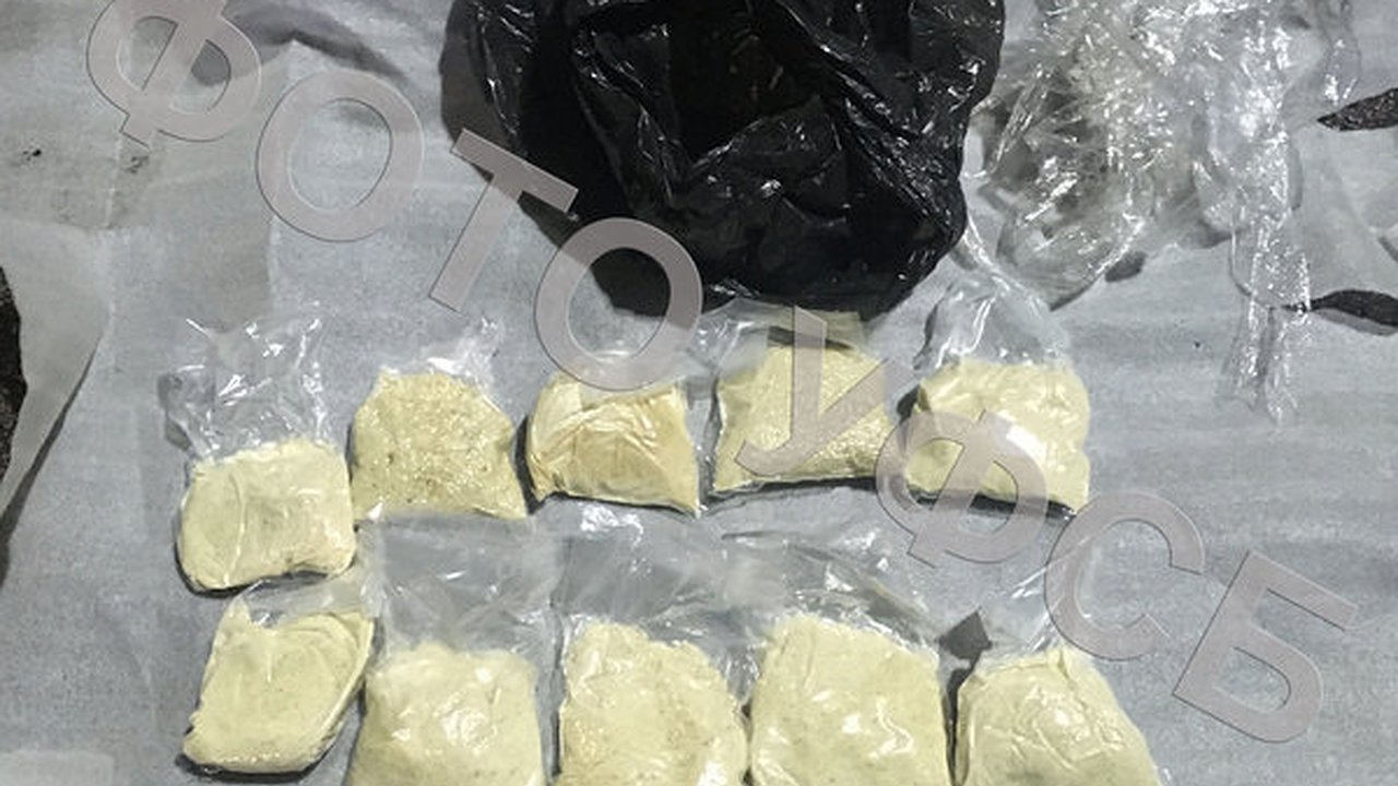 Главная картинка новости: В Воронежской области пресекли два канала поставок наркотиков