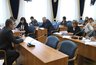 Миниатюра новости: В Воронеже увеличат бюджет на содержание и благоустройство парков и скверов 