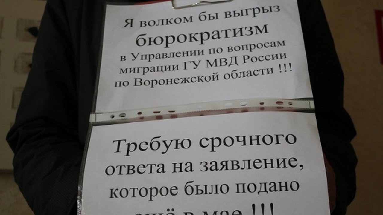 Главная картинка новости: Миграционное управление объяснило очереди за госуслугами в Воронеже