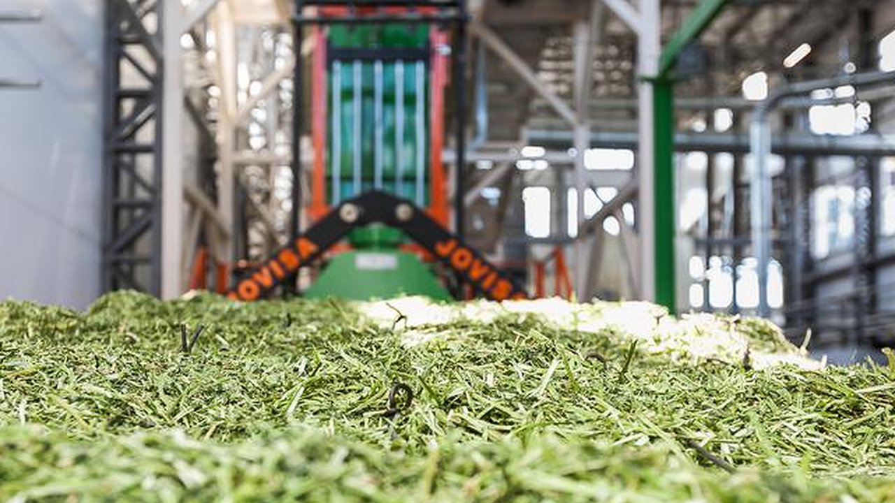 Главная картинка новости: Люцерна воронежского «Молвеста» заинтересовала фермеров из Катара