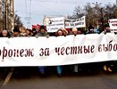 На воронежских избирательных участках станет меньше наблюдателей
