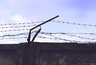 Миниатюра новости: Воронежский экс-борец с коррупцией Евгений Младов проведет под арестом еще месяц