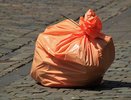 Воронежцы представят Путину проект по утилизации мусора 