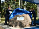 Прокуратура остановила «газпромовскую» стройку в Воронеже