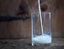Россельхознадзор усилит контроль за «прославившимся» в Воронеже Нальчикским молкомбинатом
