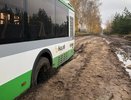 После жалоб военных и горожан власти пообещали отремонтировать дорогу от Семилукских Выселок до ТСН «Дружба»