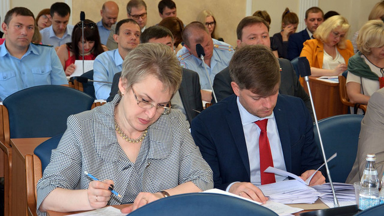 Главная картинка новости: Воронежские депутаты не стали портить себе настроение перед каникулами