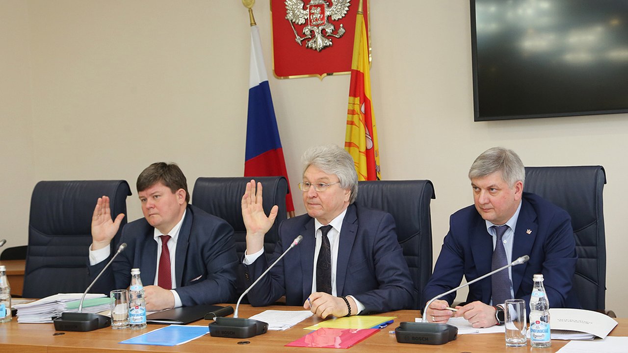 Главная картинка новости: Воронежский бюджет дорос до 15 миллиардов 