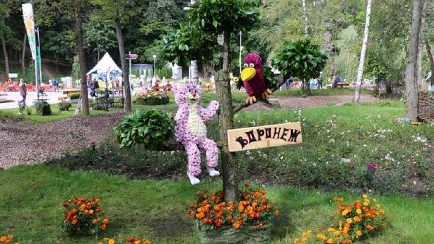 Главная картинка новости: Воронежские власти вложат более 20 млн рублей в «Город-сад»