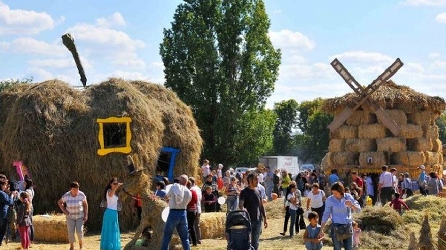 Главная картинка новости: Выставка «Воронеж – город-сад» будет посвящена цветам, красоте и кино 