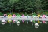 Миниатюра новости: Воронежский «Город-сад» завершился симфоническим концертом 