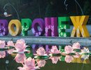 Воронежский центральный парк подготовит к фестивалю «Город-Сад» прежний подрядчик 