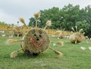 Воронежский фестиваль «Город-сад» из-за ковида оборудуют еще одним входом