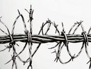 Воронежская область «уточнит» свои границы с соседями