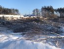 Ущерб от вырубки деревьев на ул. Планетная в Воронеже составил 2,5 млн рублей