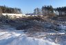 Миниатюра новости: Ущерб от вырубки деревьев на ул. Планетная в Воронеже составил 2,5 млн рублей
