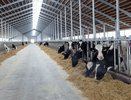 В Воронежской области в 2022 году объем господдержки АПК составит 7,5 млрд рублей
