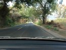 Воронежцы жалуются на мнимую услугу при покупке автомобиля от «Роуд Траст» Артема Смирнова