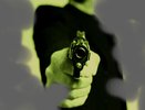 В сети появилось видео предотвращения силовиками убийства воронежского бизнесмена 