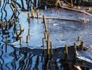 Воронежская Служба спасения предупреждает: выход на лед водохранилища сейчас смертельно опасен