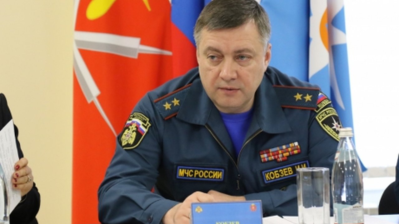 Главная картинка новости: Экс-глава воронежского МЧС Игорь Кобзев стал заместителем министра