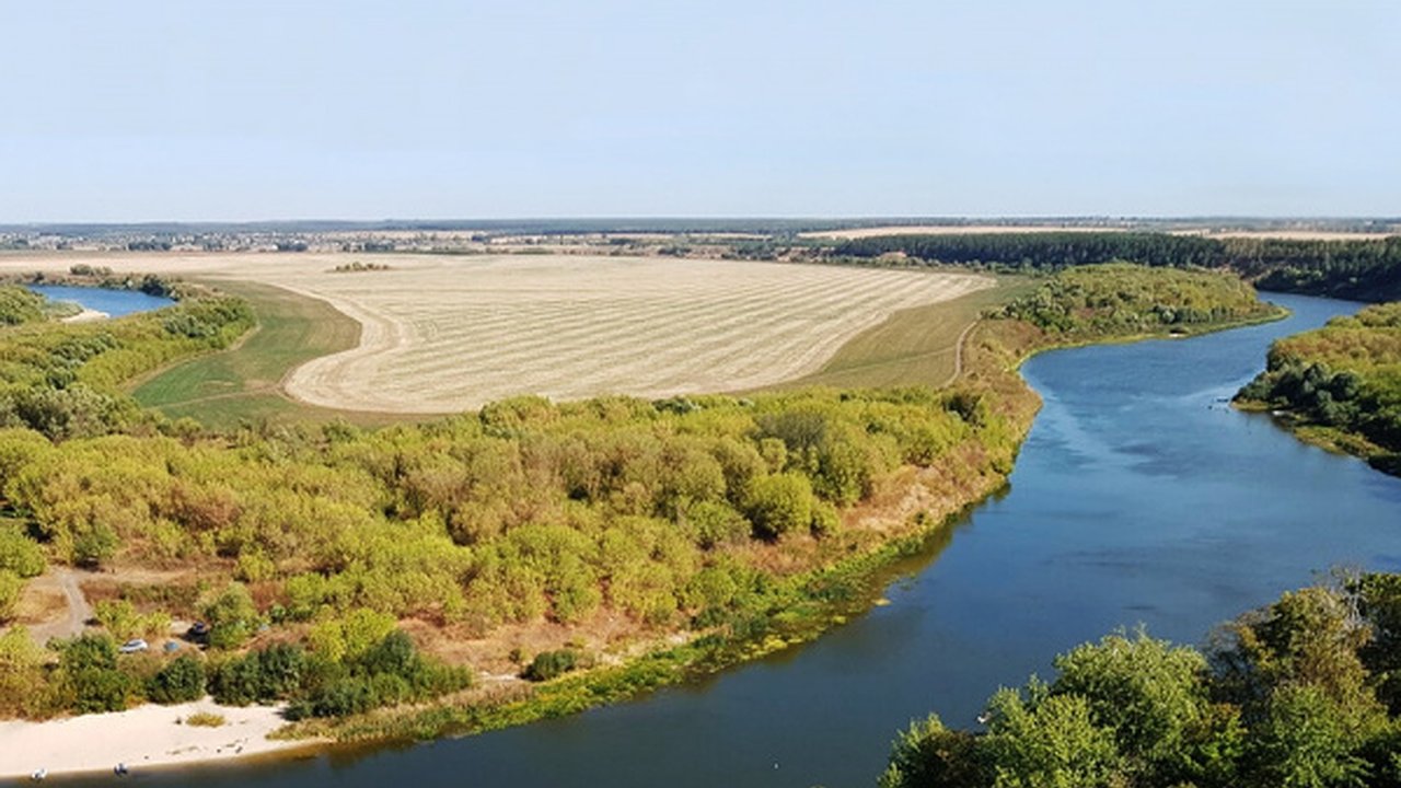 Главная картинка новости: В Воронежской области готовятся к охране рыб в водоемах