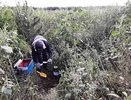С муниципального предприятия Воронежа требуют 145,6 млн рублей за нанесение вреда почве на ул. Антакольского