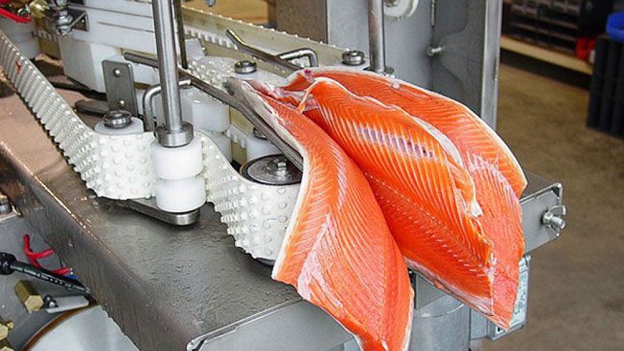 Главная картинка новости: Французы создадут в Воронежской области  импортозамещающие производства 