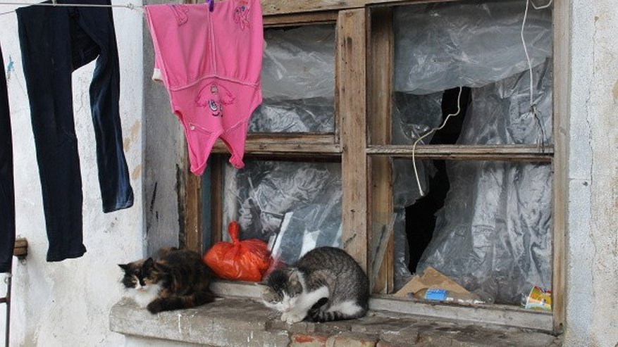 Главная картинка новости: Под Воронежем власти предложили погорельцам негодную комнатушку в общаге