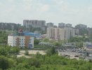 Почему воронежские «Скандинавия» и «Бомбей» боятся печки? 